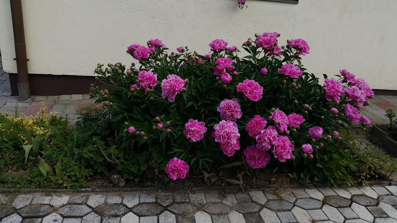 Marietta Apartman Héviz Zewnętrze zdjęcie